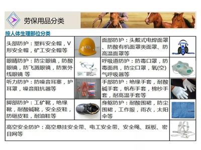 『PPT』劳保用品的正确使用与安全驾驶